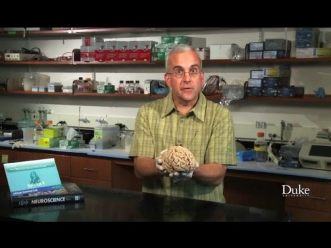 Coursera, Medical Neuroscience, Photo from the making of the Medical Neuroscience promo video.