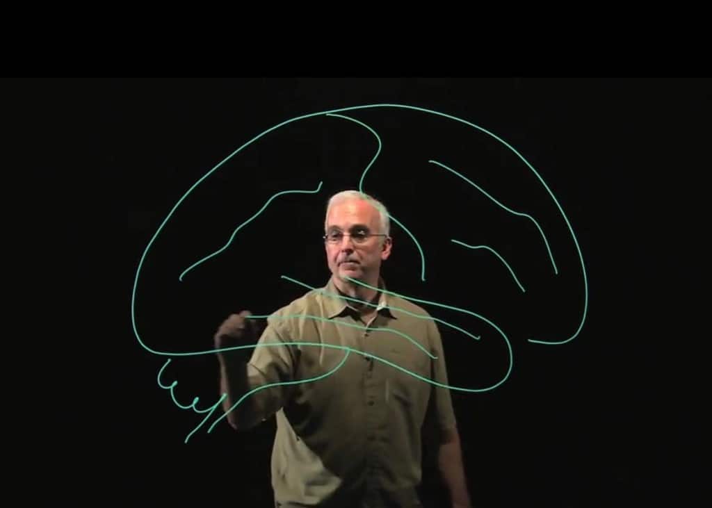 visualize, brainanatomy, prof. L.E. Whit