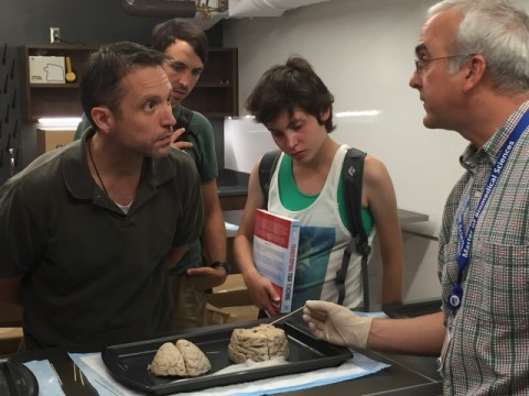 Interested guests of the Duke Institute for Brain Sciences explore human brains