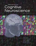 Principles of Cognitive Neuroscience, Purves et al.