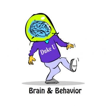 brain and behavior