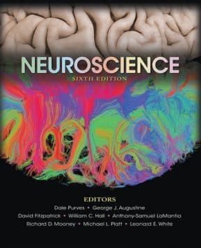 neuroscience sixth edition, edited by Dale Purves