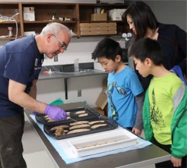 prof white sharing neuroscience with local families