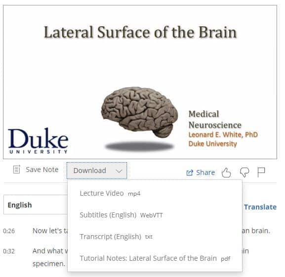 Medical neuroscience bulletin board learn medical neuroscience
