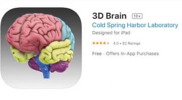 3d brain anatomy software free download adobe flash player 10 windows xp free download
